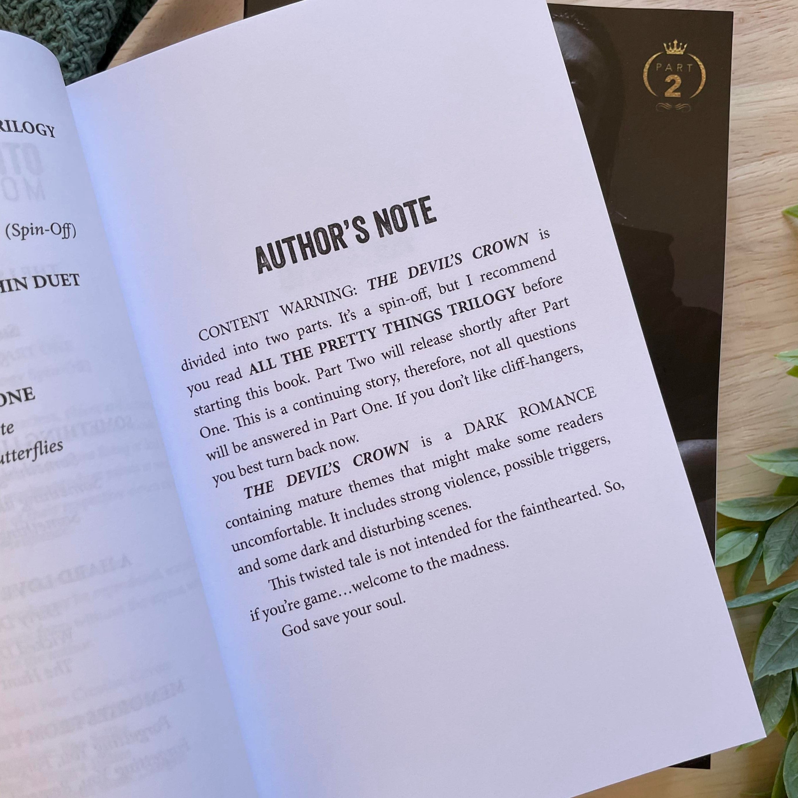 All The Pretty Things Trilogy Spin-Off by Monica James