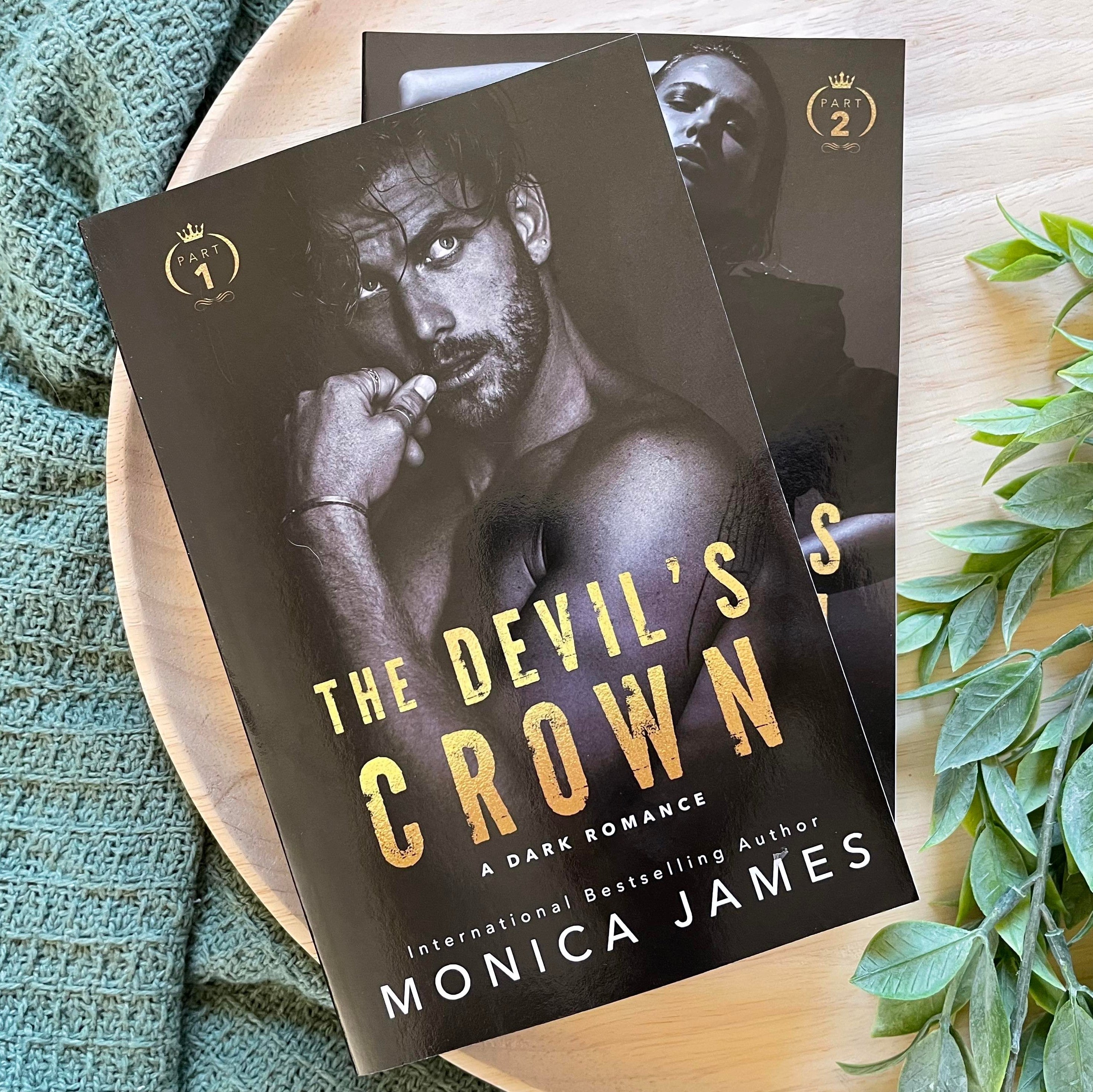 All The Pretty Things Trilogy Spin-Off by Monica James