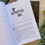 Load image into Gallery viewer, All The Pretty Things Trilogy Spin-Off by Monica James
