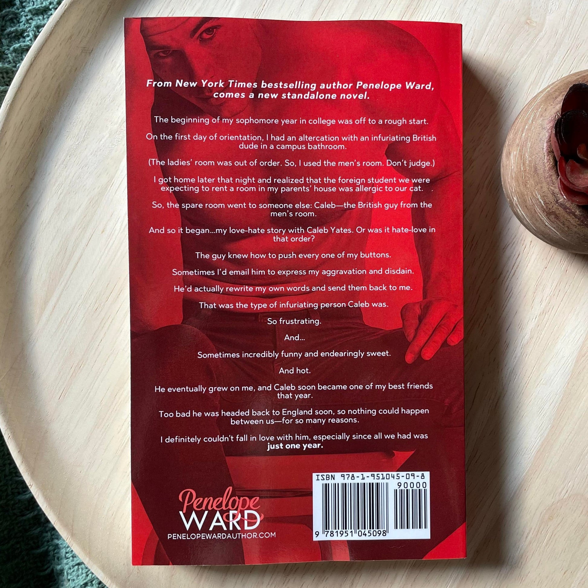 Just One Year by Penelope Ward
