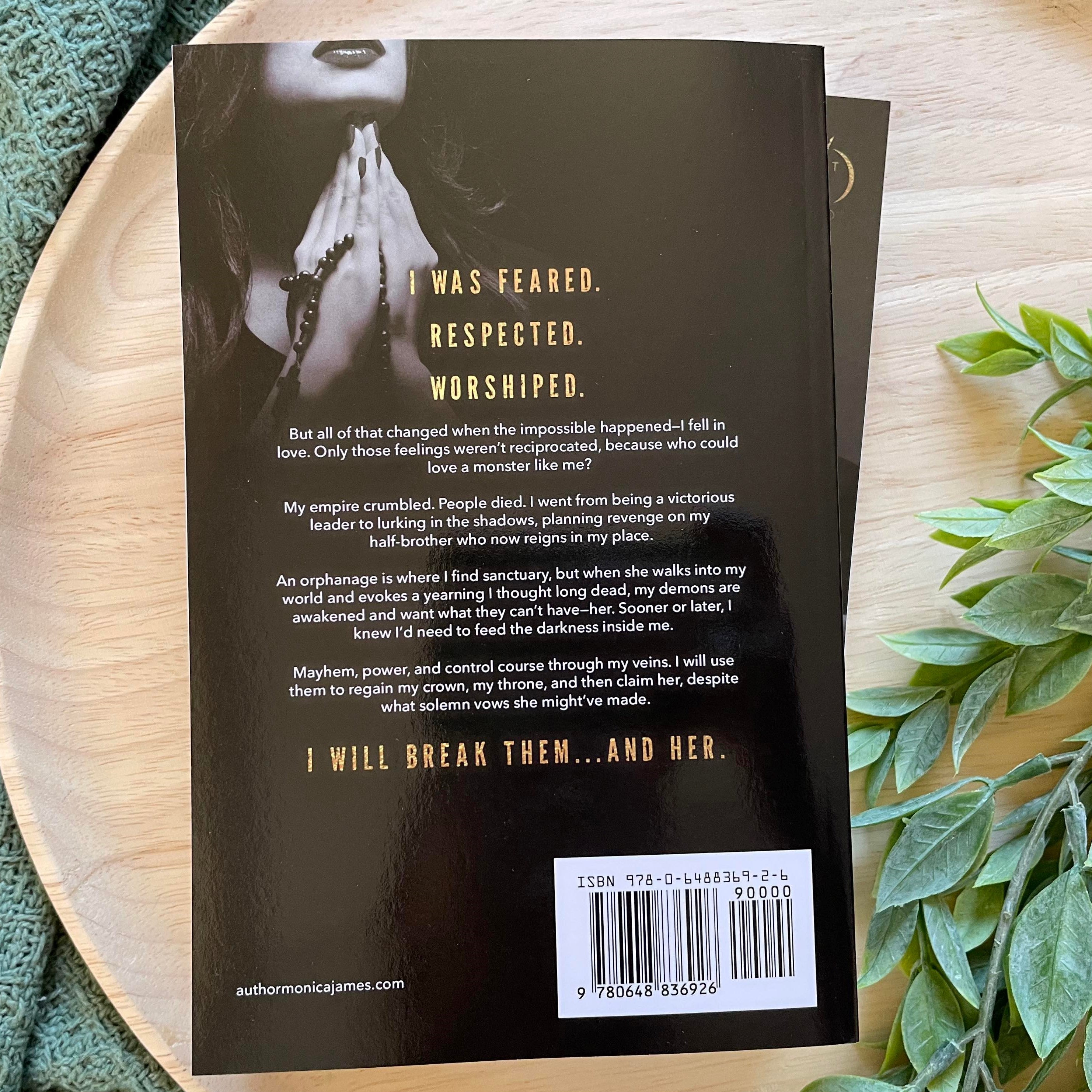 All The Pretty Things Trilogy Spin-Off by Monica James