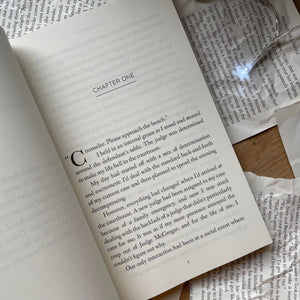 Politics of Love by Sienna Snow