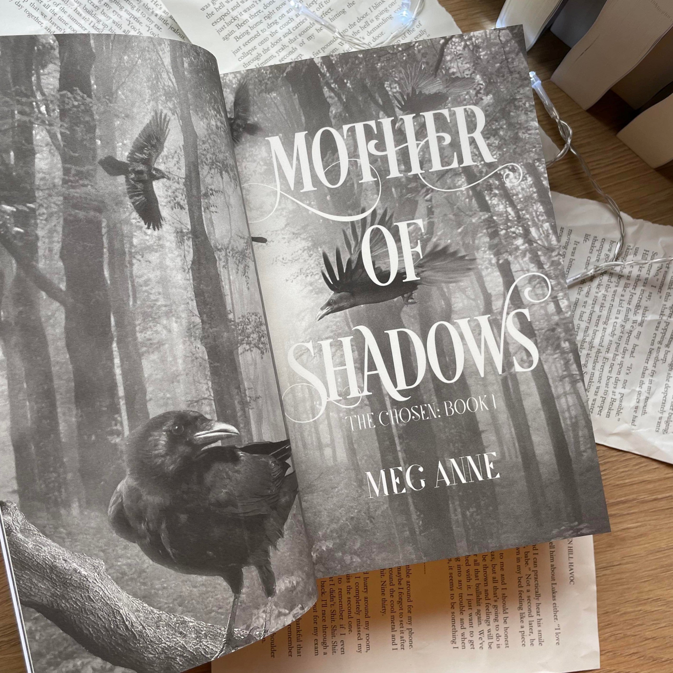 The Chosen: Omnibus by Meg Anne