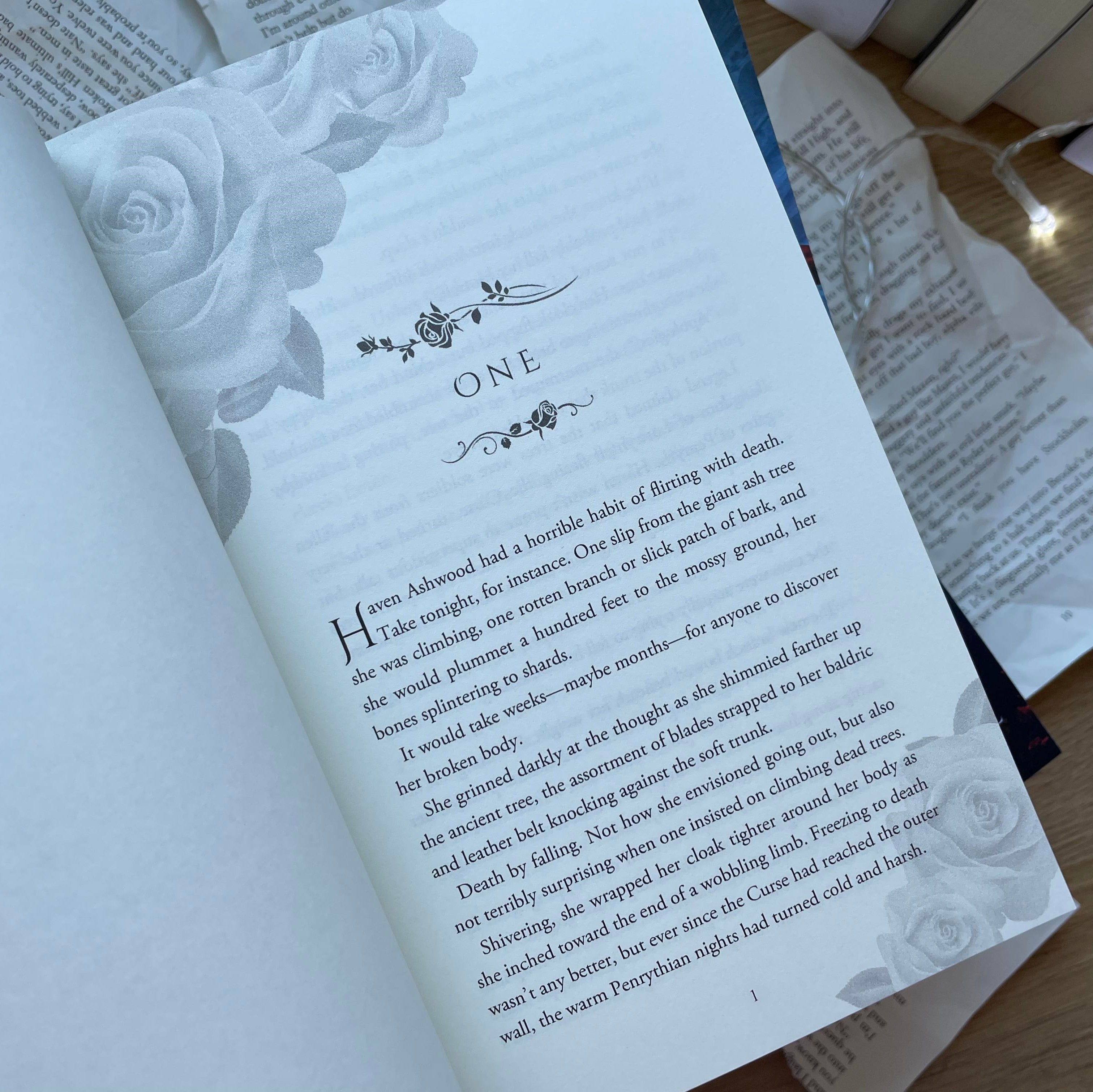 Kingdom of Runes series by Audrey Grey