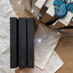 Load image into Gallery viewer, Monica &amp; Jonathan by CD Reiss
