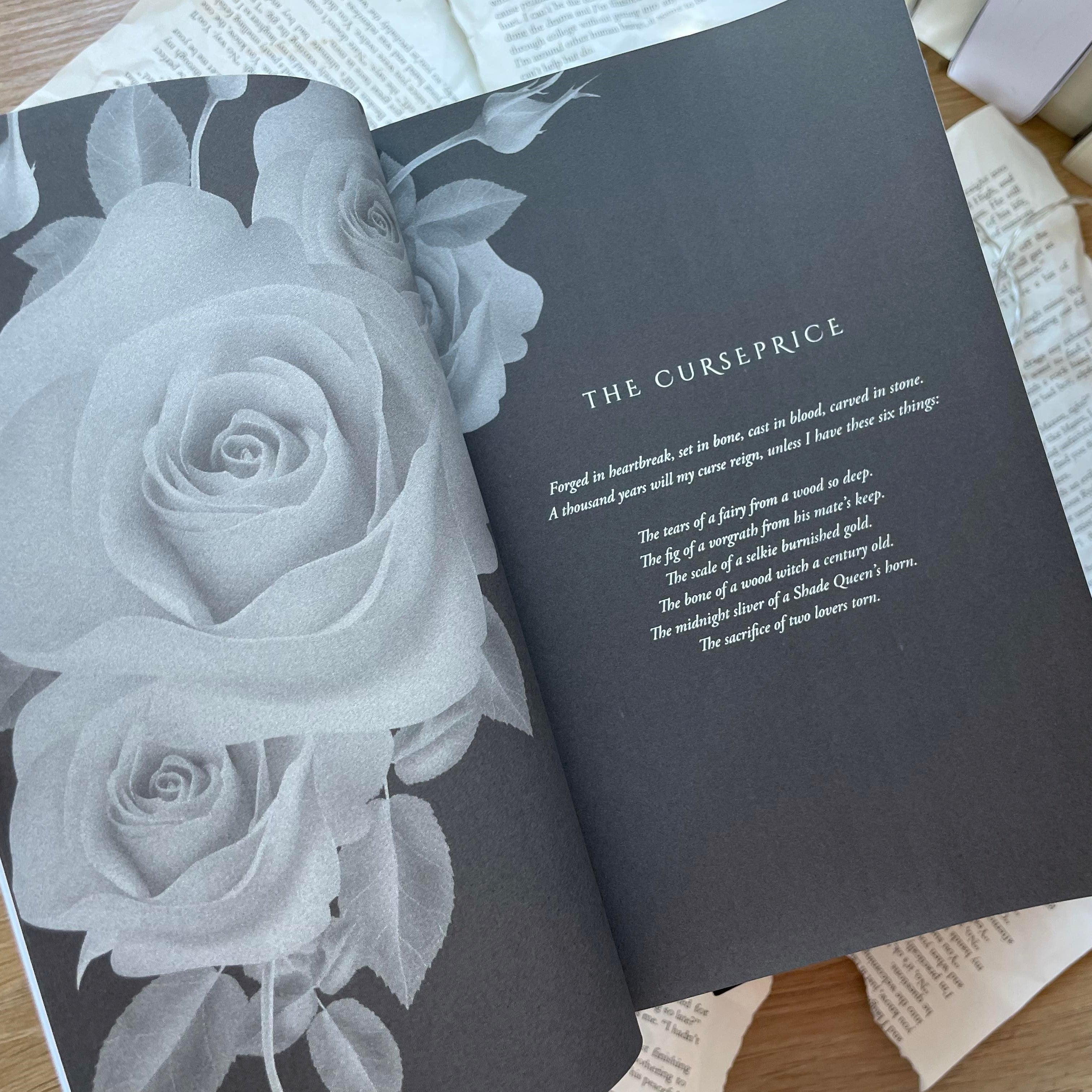 Kingdom of Runes series by Audrey Grey