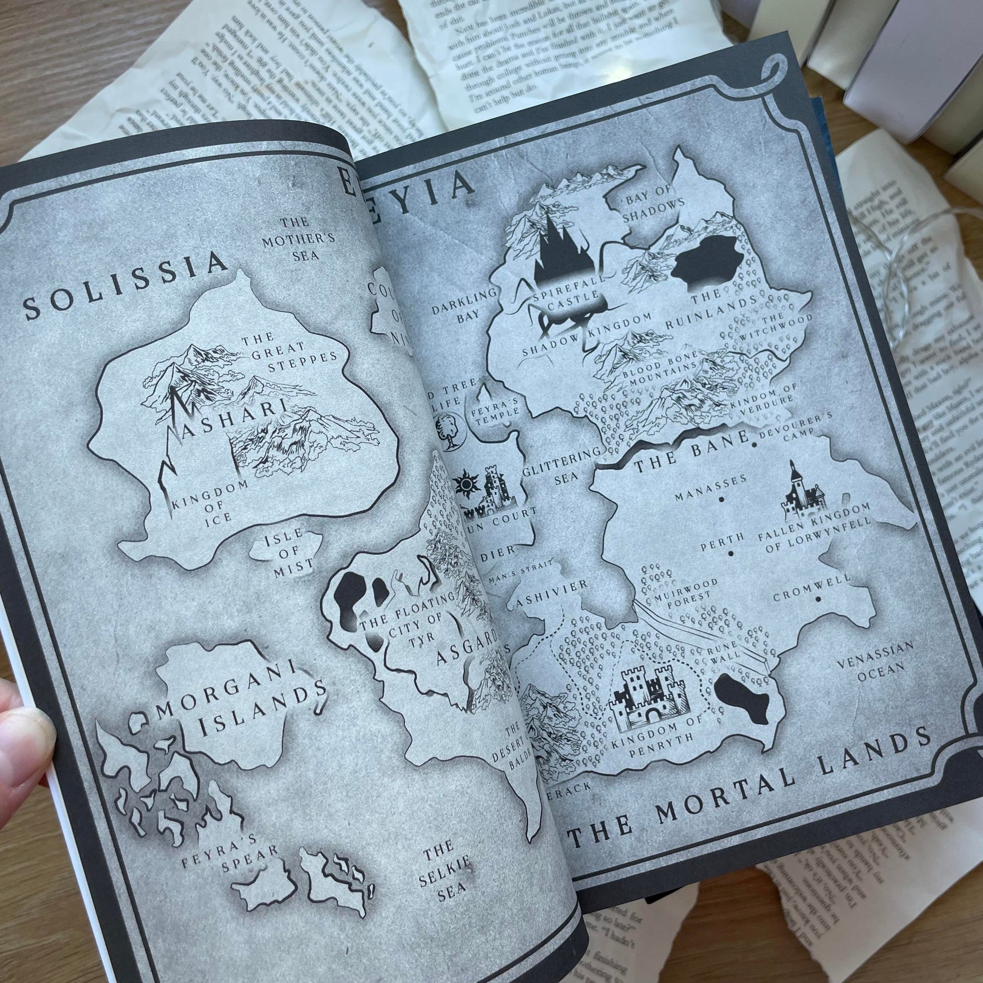 Kingdom of Runes series by Audrey Grey