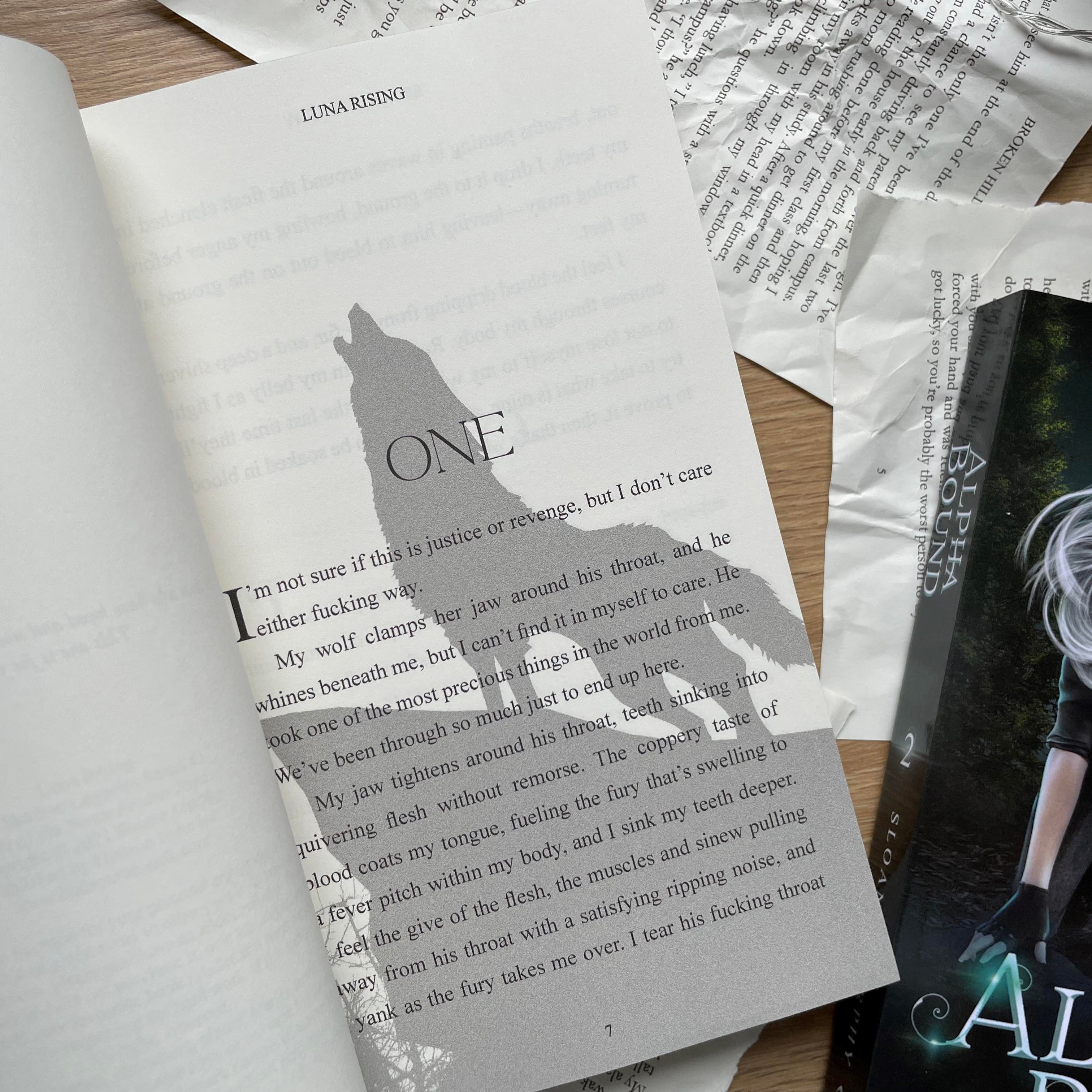 The Shadow Legacies by Sloane Murphy
