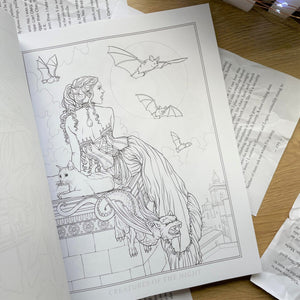 Dark Fantasy Colouring Book by Selina Fenech