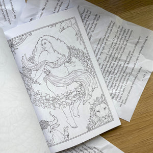 Dark Enchantment Minis - Pocket Sized Fantasy Colouring Book by Selina Fenech