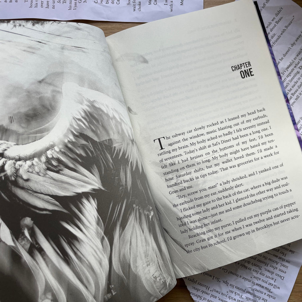 Shadow Angel: Hardcovers by Julie Hall & Leia Stone