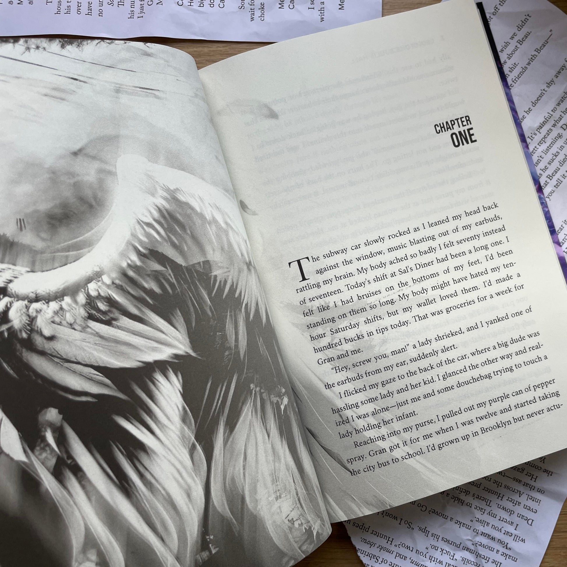 Shadow Angel: Hardcovers by Julie Hall & Leia Stone