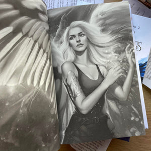 Fallen Legacies: HARDCOVERS by Julie Hall