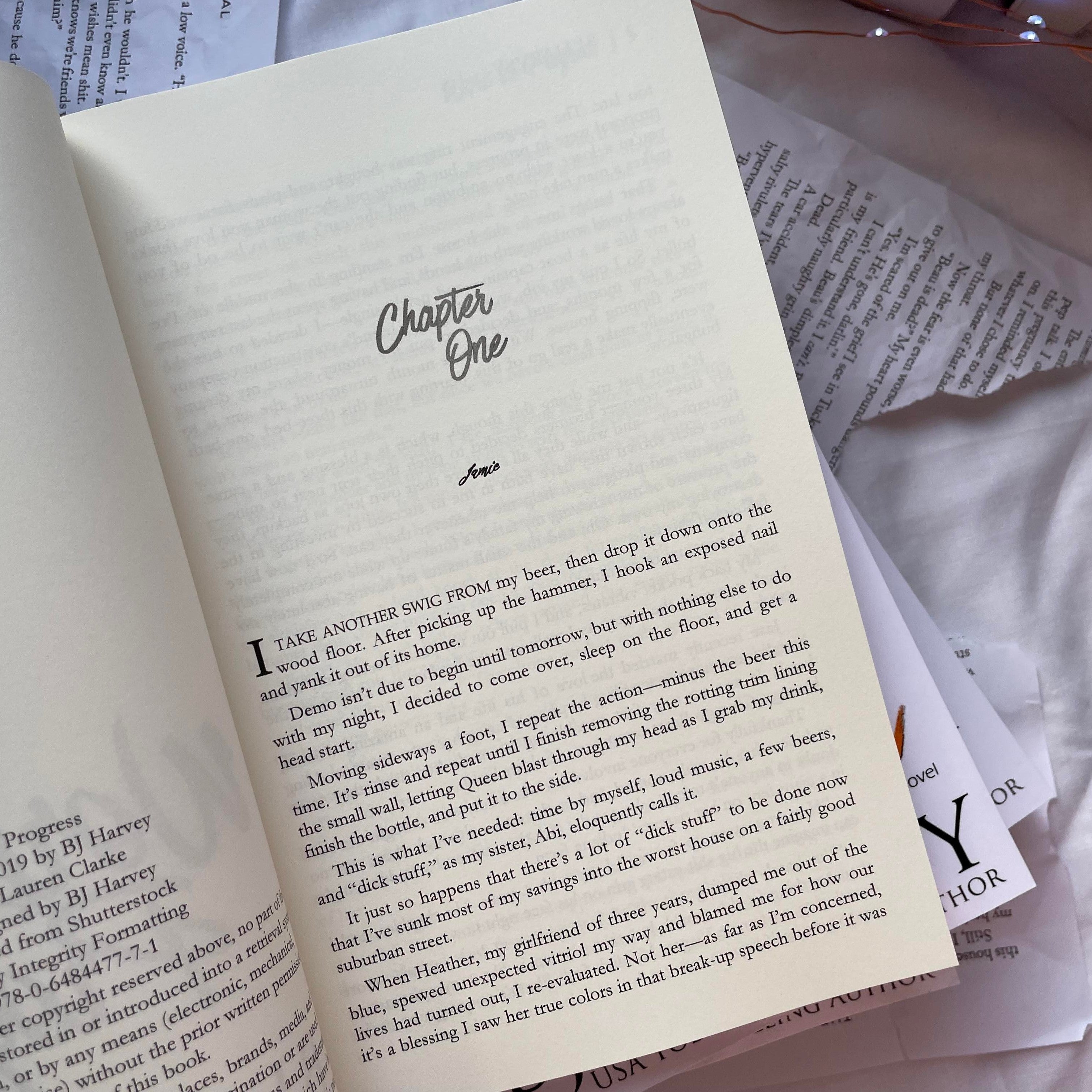 Cook Brothers series by BJ Harvey