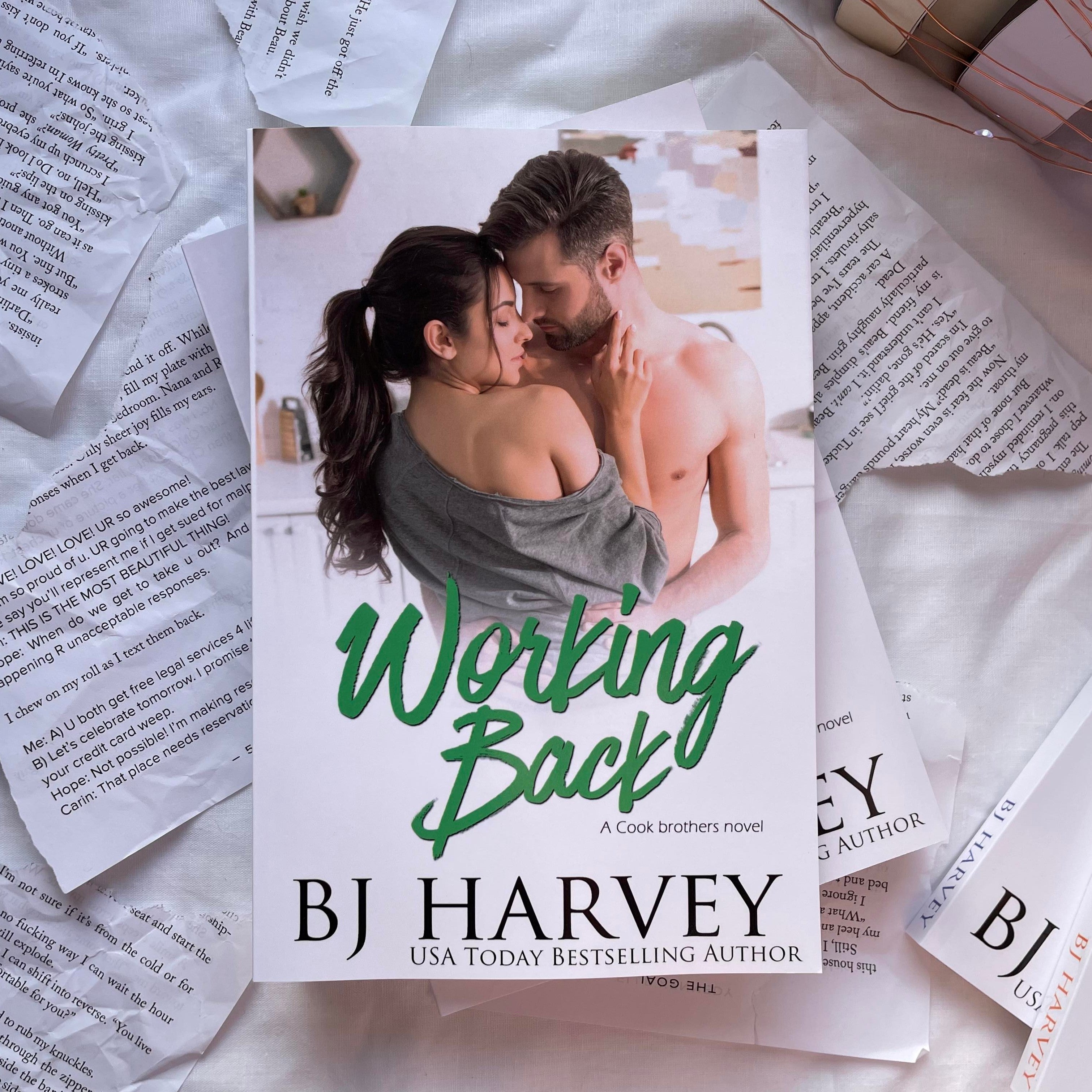 Cook Brothers series by BJ Harvey