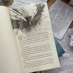 Load image into Gallery viewer, Fallen Legacies by Julie Hall
