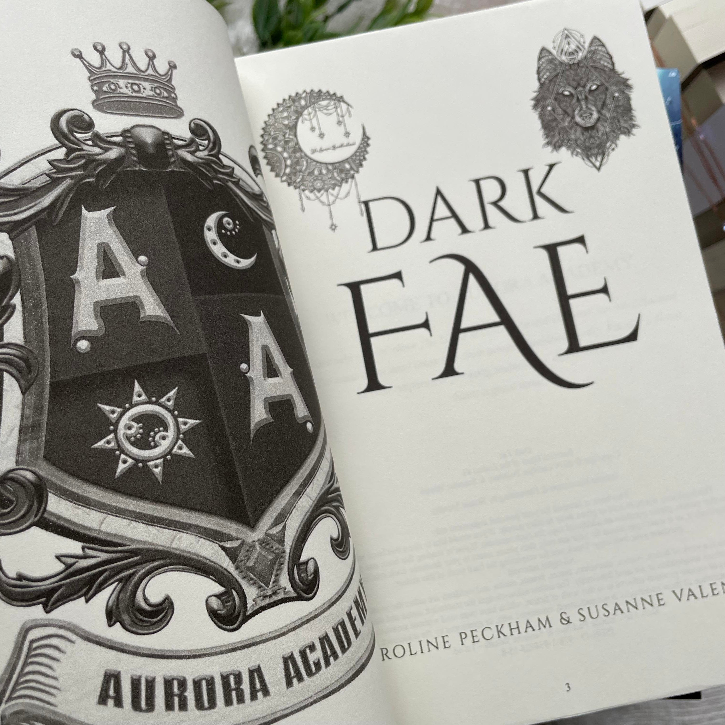 Ruthless Boys of the Zodiac by Caroline Peckham & Susanne Valenti