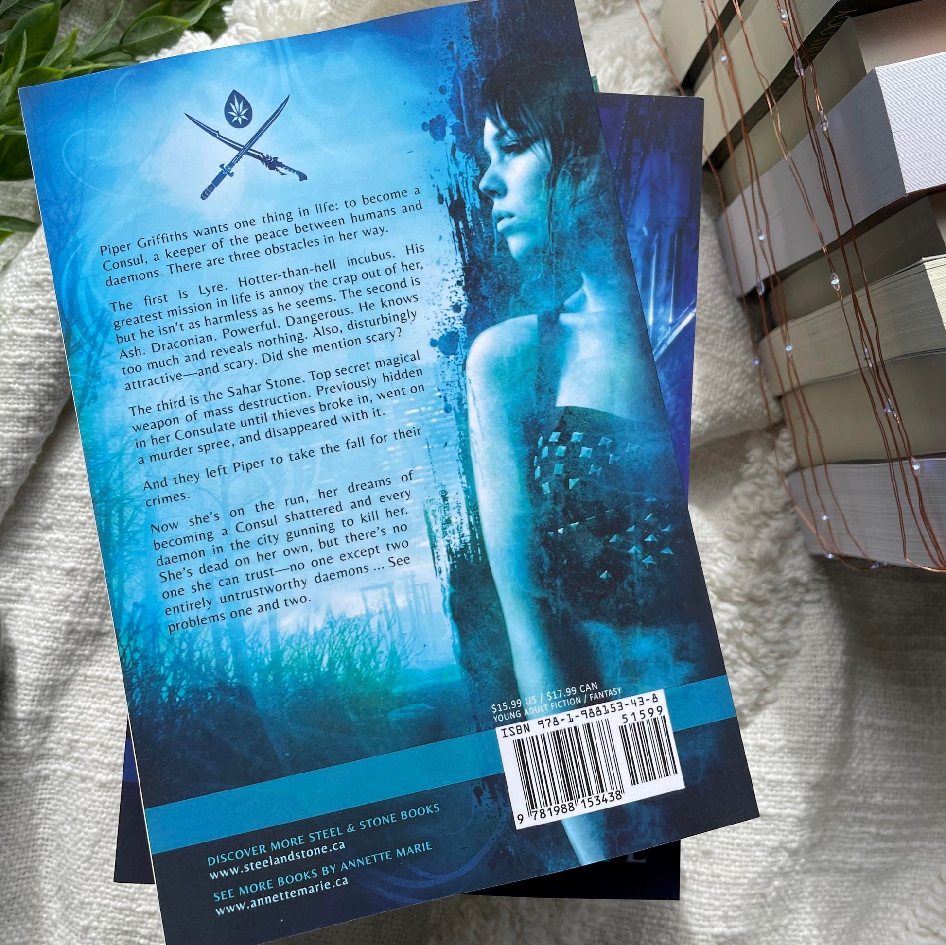 Steel & Stone series by Annette Marie