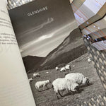 Load image into Gallery viewer, Devil of Dublin: Alternate by BB Easton

