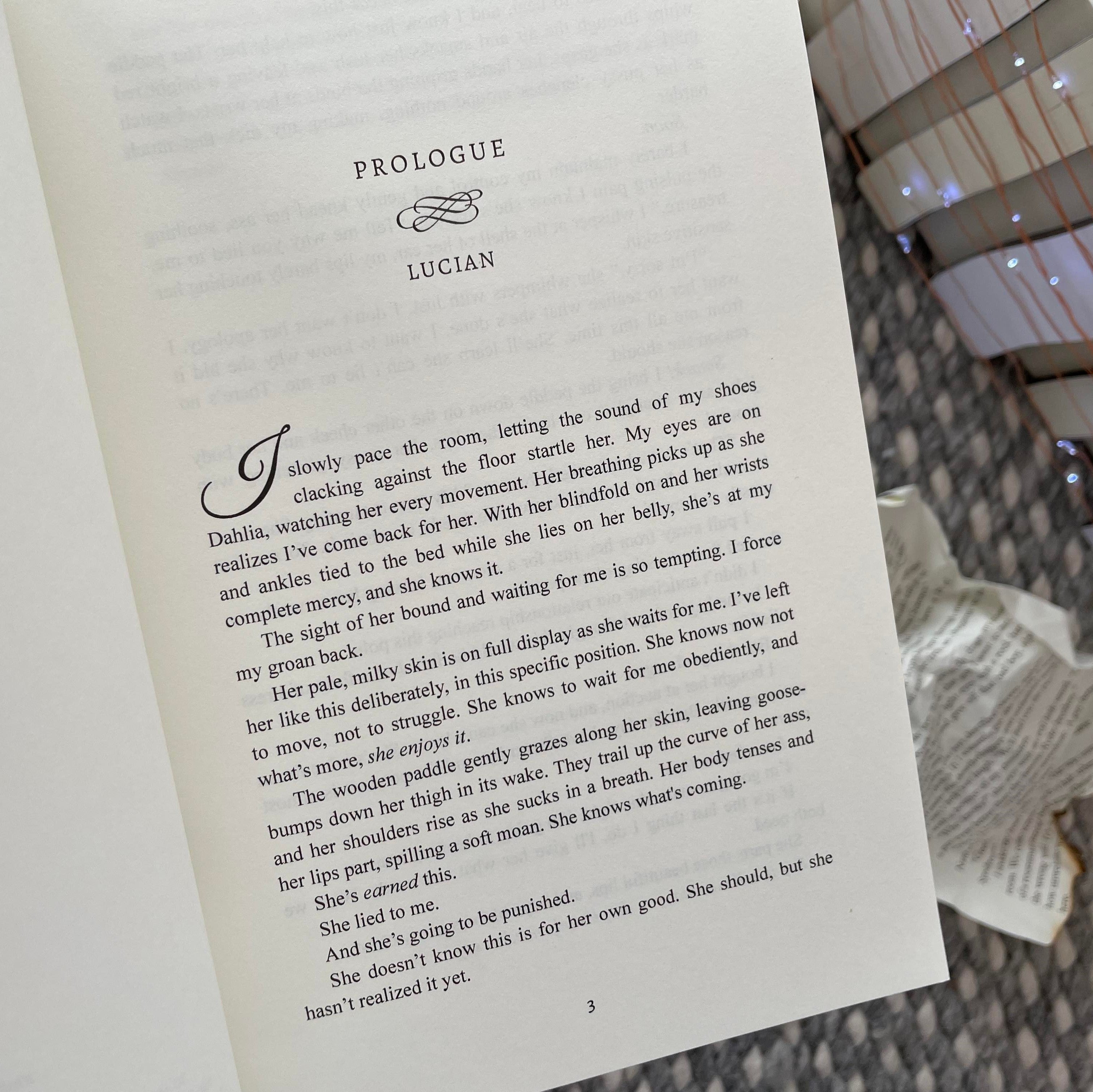 Highest Bidder Collection by Willow Winters & Lauren Landish