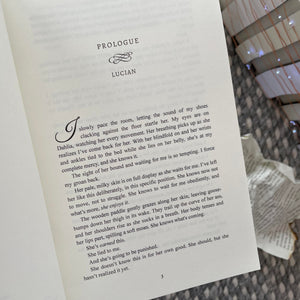 Highest Bidder Collection by Willow Winters & Lauren Landish