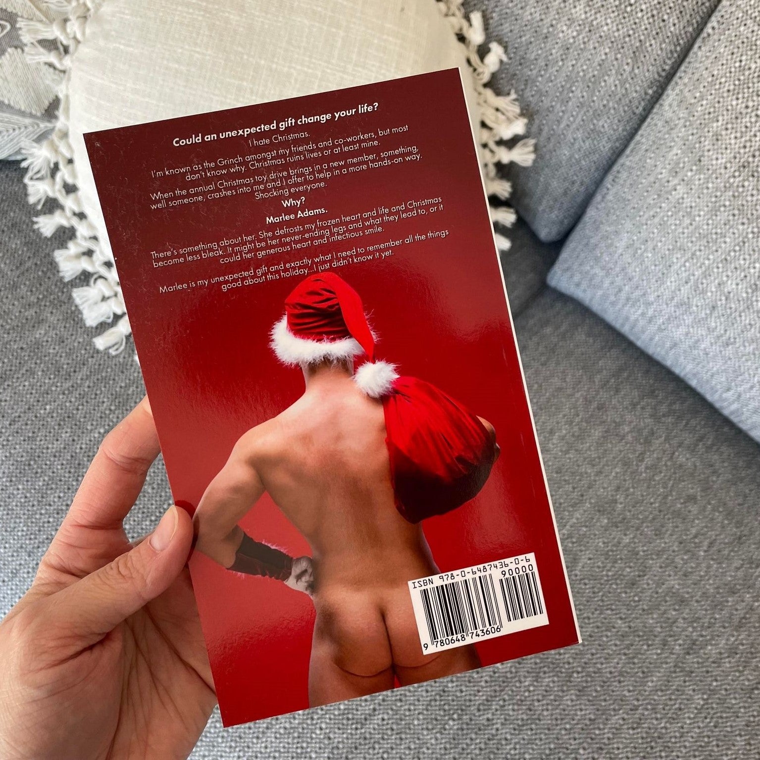 The Unexpected Gift by DL Gallie
