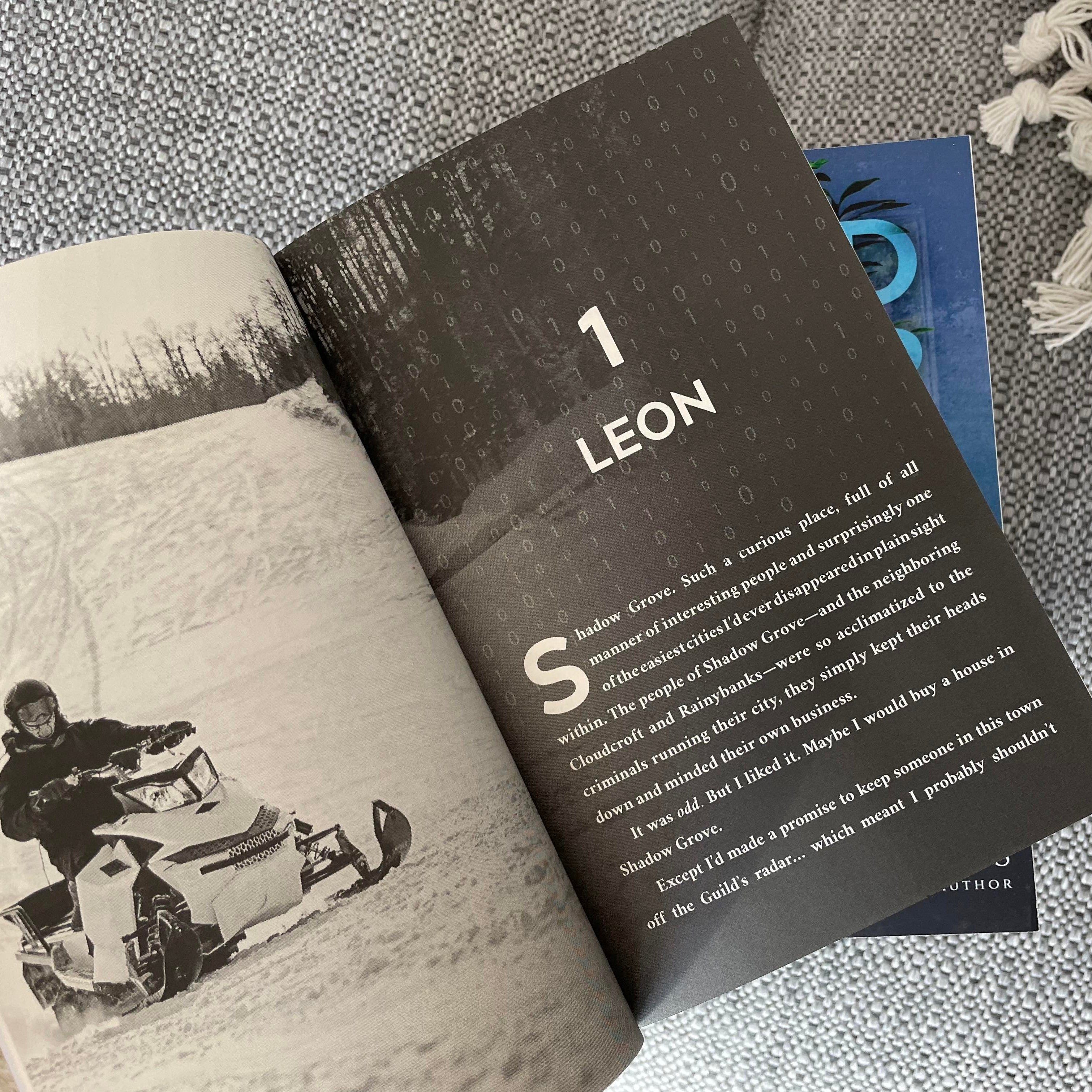 The Guild: Alternates by Tate James