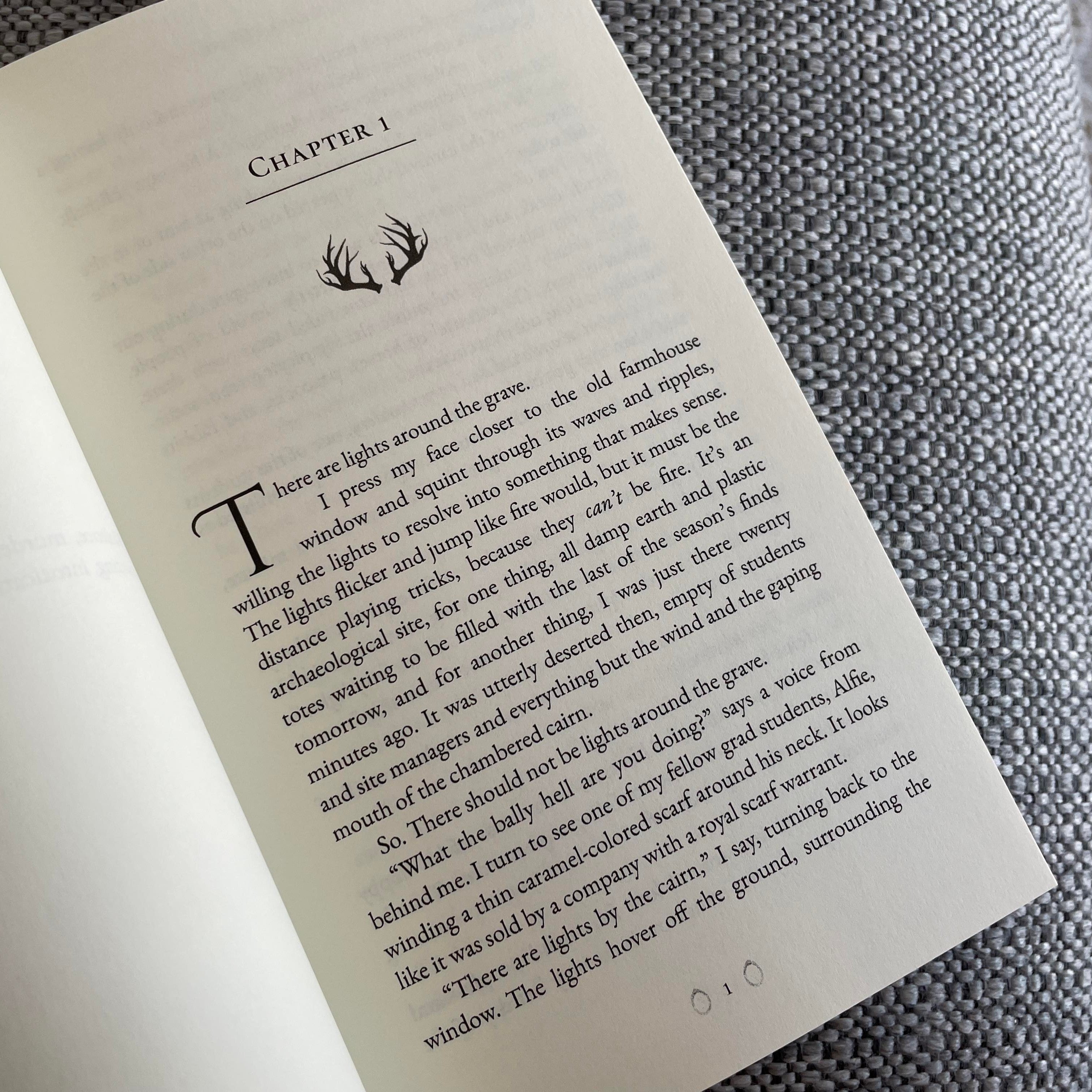 The Fae Queen's Captive by Sierra Simone