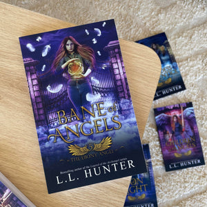 The Ebony Angel by L.L. Hunter