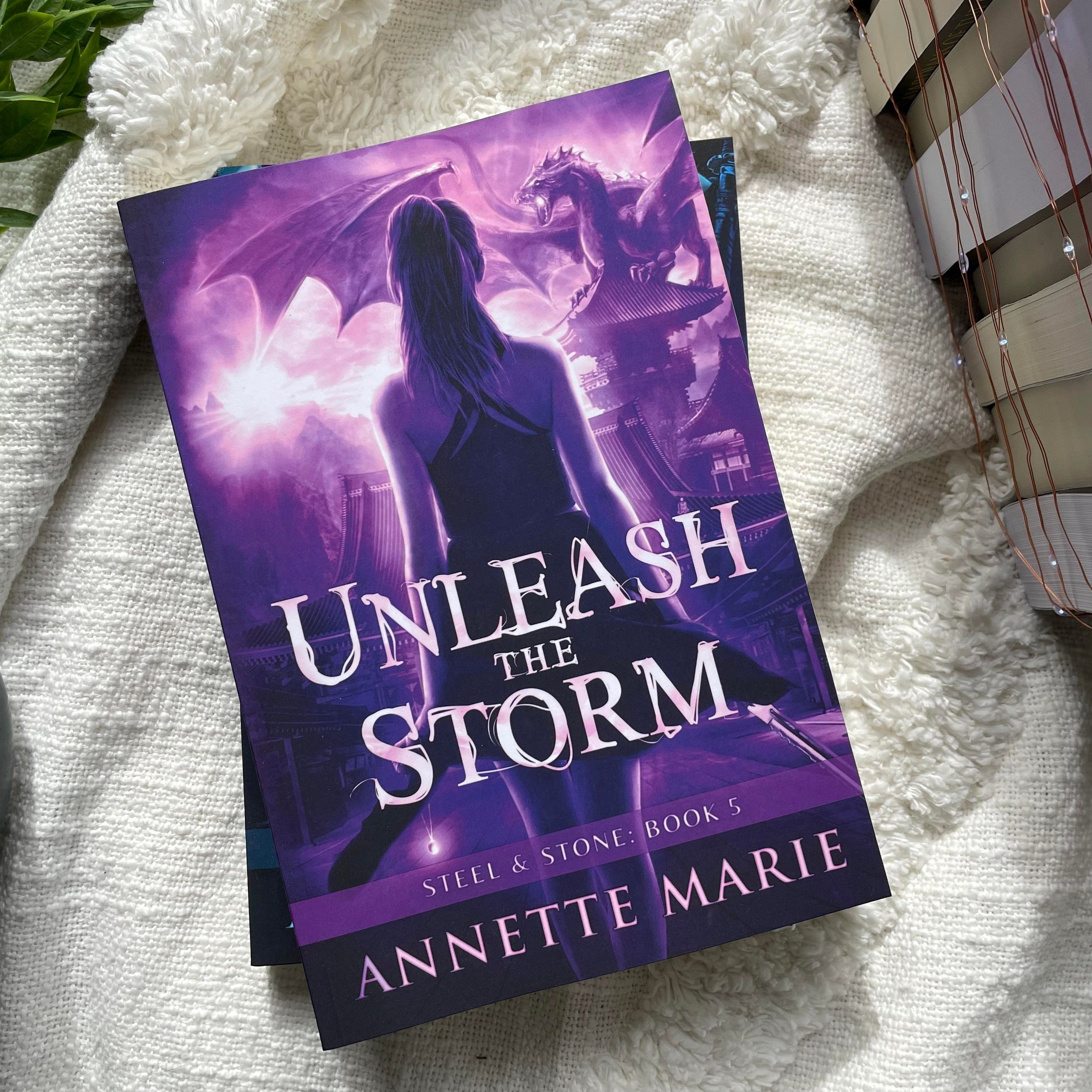 Steel & Stone series by Annette Marie