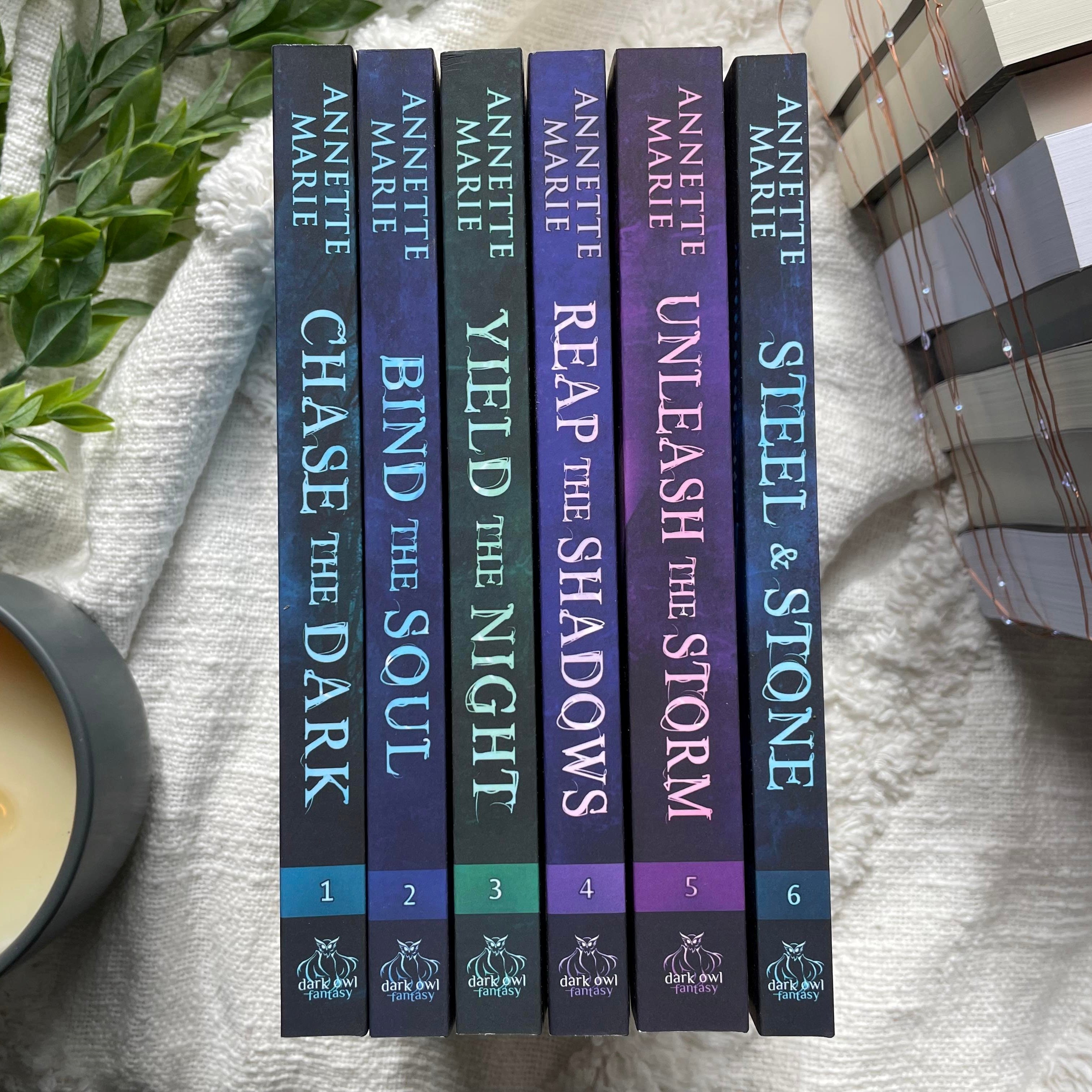 Steel & Stone series by Annette Marie