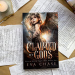 Load image into Gallery viewer, Their Dark Valkyire by Eva Chase
