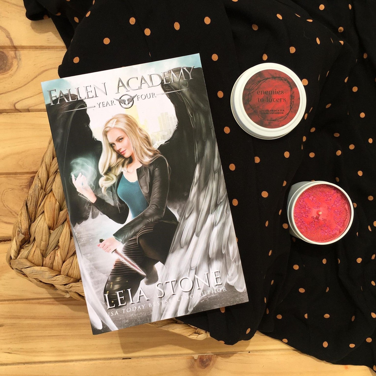 Fallen Academy by Leia Stone