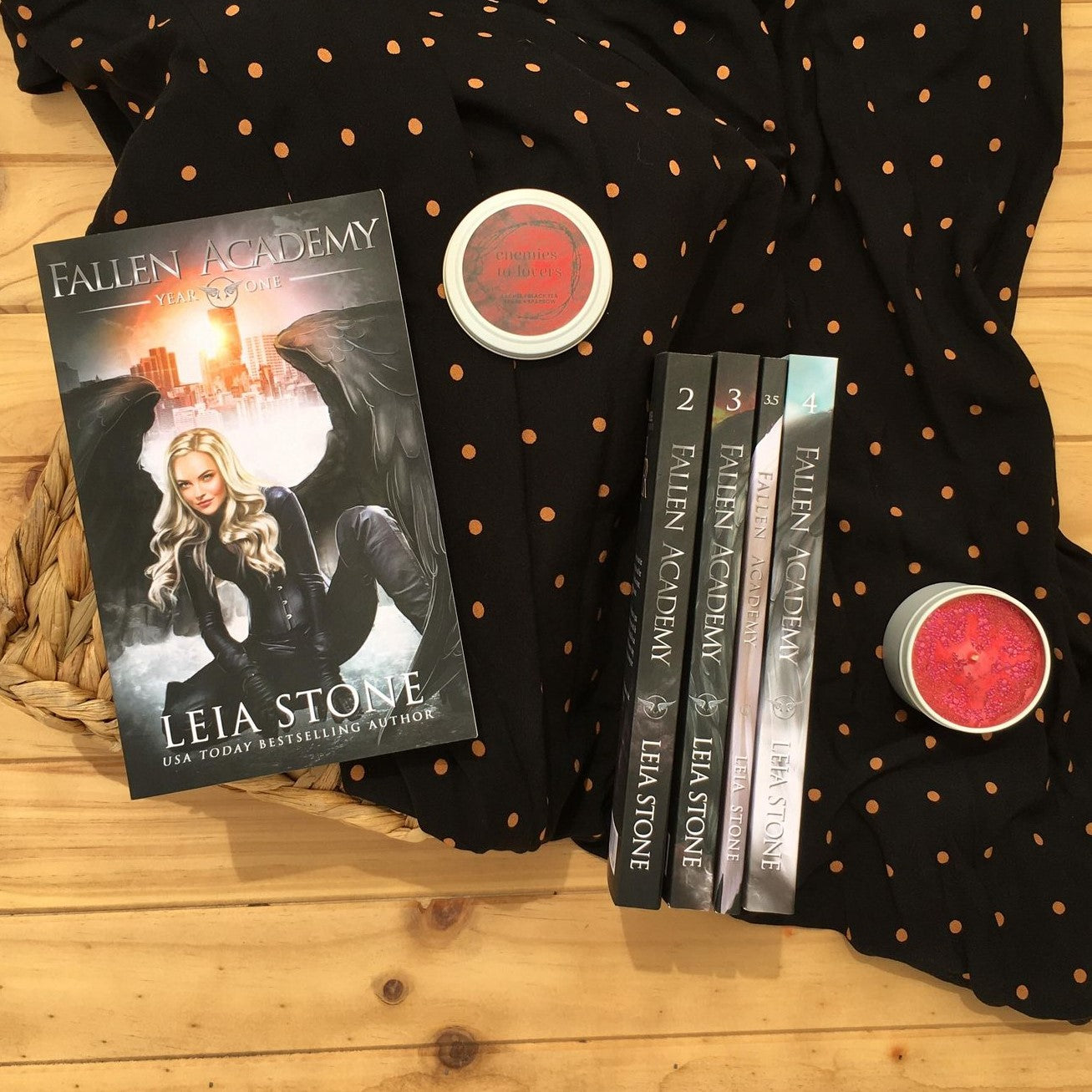 Fallen Academy by Leia Stone