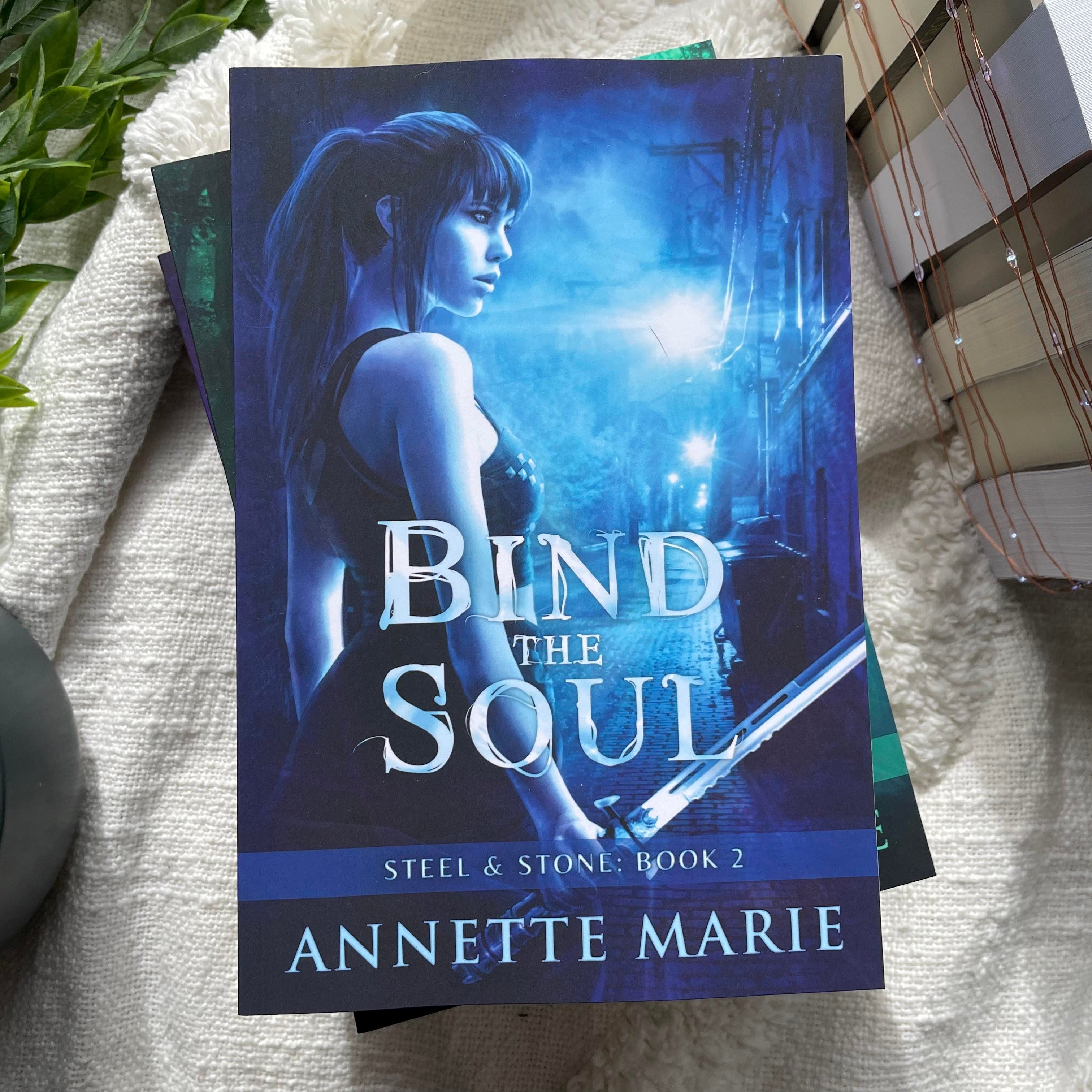 Steel & Stone series by Annette Marie