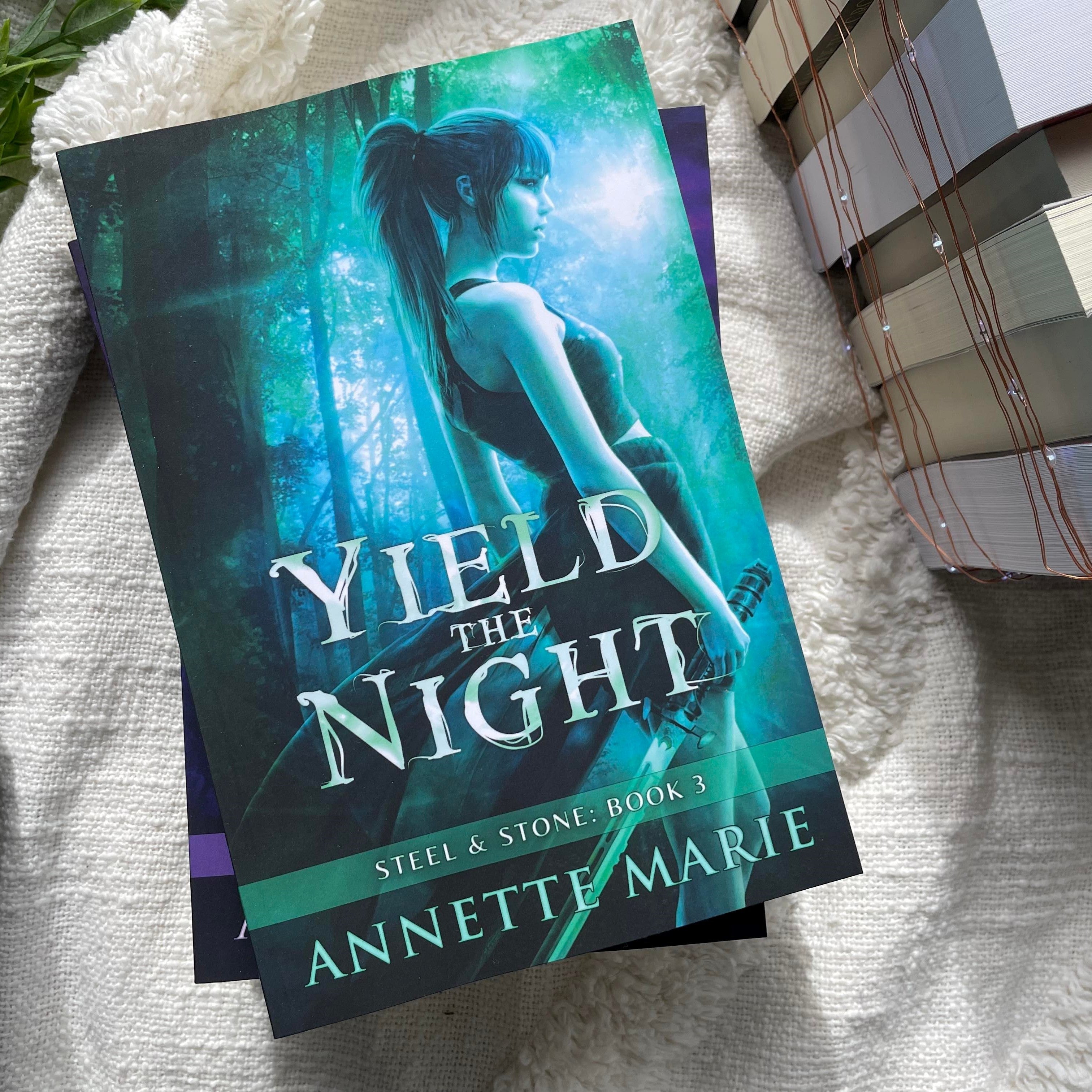 Steel & Stone series by Annette Marie